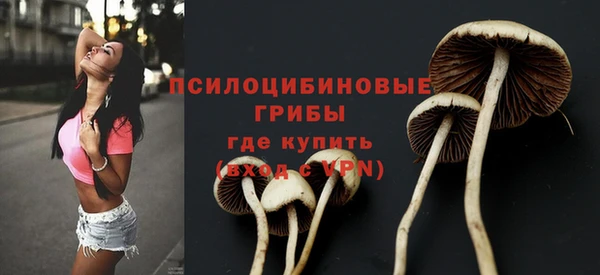ALPHA PVP Алзамай