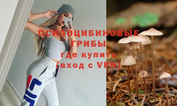 молекула духа Алексеевка