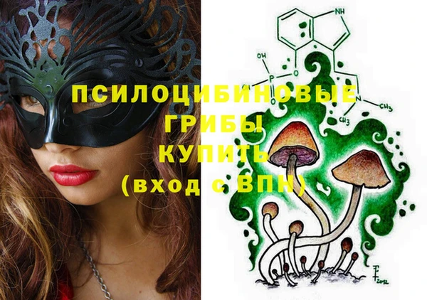 молекула духа Алексеевка