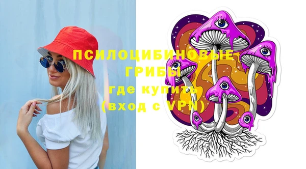 амф Алексин