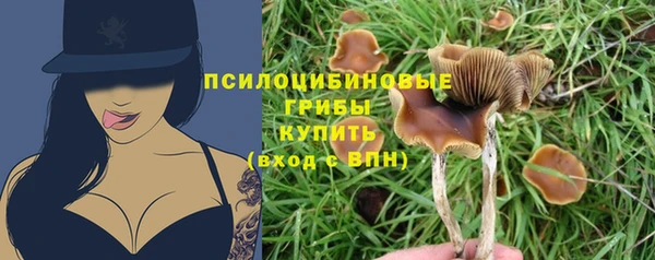 амф Алексин