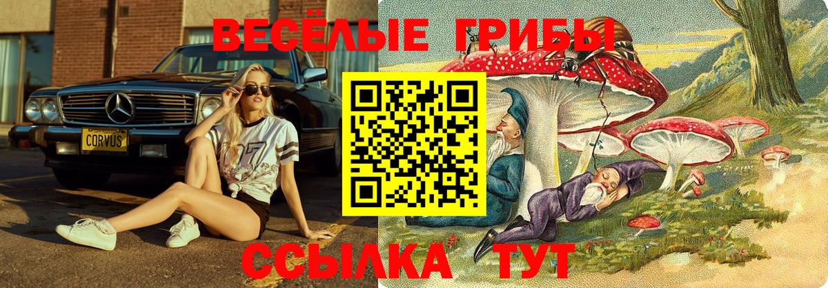 Псилоцибиновые грибы мухоморы  Вход с VPN  где можно купить   Волгоград 